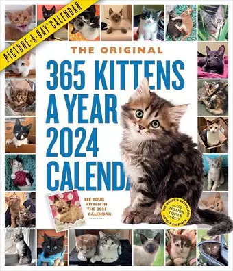 365 Kittens-A-Year Picture-A-Day Wall Calendar 2024 cover