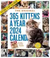 365 Kittens-A-Year Picture-A-Day Wall Calendar 2024 cover