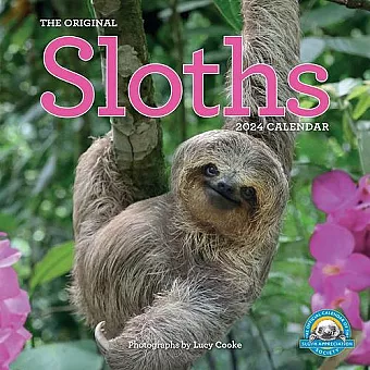 Original Sloths Wall Calendar 2024 cover