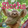 Original Sloths Mini Wall Calendar 2024 cover