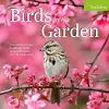 Audubon Birds in the Garden Wall Calendar 2025 cover