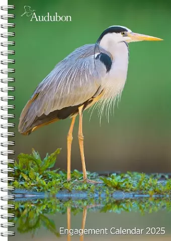 Audubon Engagement Calendar 2025 cover