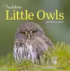 Audubon Little Owls Mini Wall Calendar 2025 cover