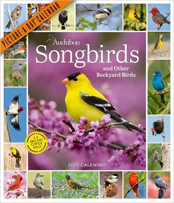 Audubon Songbirds and Other Backyard Birds Picture-A-Day® Wall Calendar 2025 cover