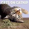 Cats on Catnip Wall Calendar 2025 cover