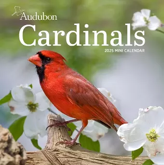 Audubon Cardinals Mini Wall Calendar 2025 cover