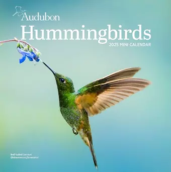 Audubon Hummingbirds Mini Wall Calendar 2025 cover