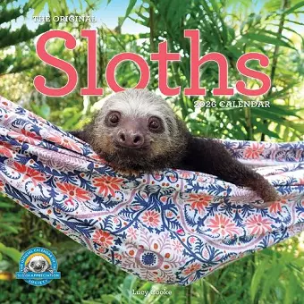 Original Sloths Wall Calendar 2026 cover