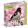 Audubon Birds Page-A-Day® Calendar 2026 cover