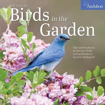 Audubon Birds in the Garden Wall Calendar 2026 cover