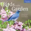 Audubon Birds in the Garden Wall Calendar 2026 cover