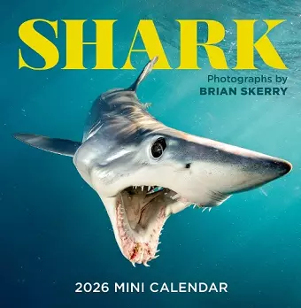 Shark Mini Wall Calendar 2026 cover