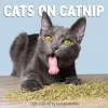 Cats on Catnip Wall Calendar 2026 cover