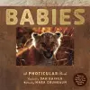 Babies cover