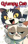 Grumpy Cat & Pokey cover