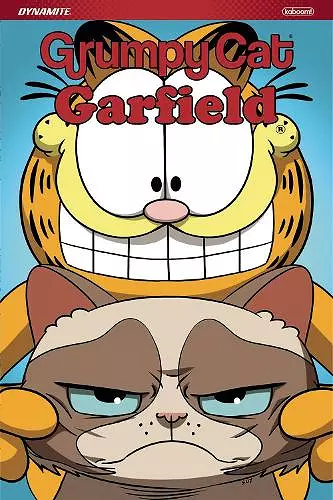 Grumpy Cat & Garfield cover