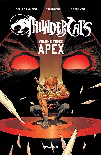 ThunderCats Vol. 3 cover