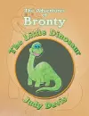 The Adventures of Bronty cover