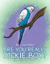 Are You Really Dickie Boy? cover