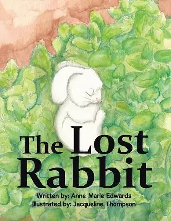 The Lost Rabbit cover