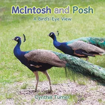 McIntosh and Posh cover