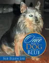 There Once Was a Dog Named Blue cover