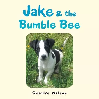 Jake & the Bumble Bee cover