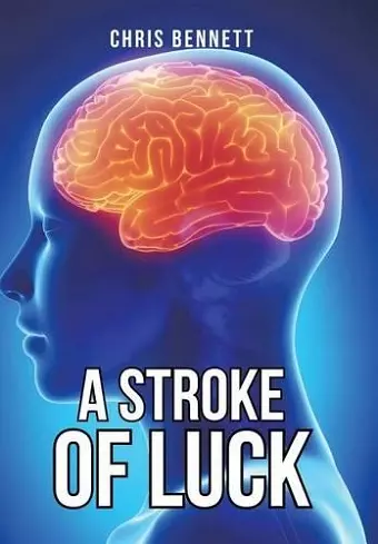 A Stroke of Luck cover