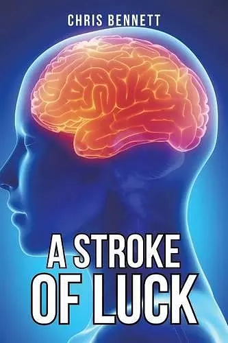 A Stroke of Luck cover