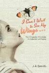 I Can't Wait to See My Wings . . . cover