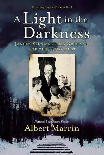 A Light in the Darkness cover