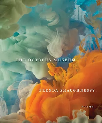 The Octopus Museum cover
