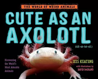 Cute as an Axolotl cover