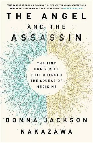 The Angel and the Assassin cover