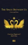The Space Between Us cover