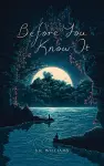 Before You Know It cover