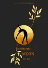 A Midnight Moon cover