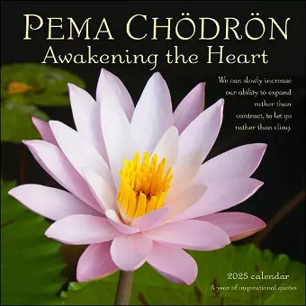 Pema Chödrön 2025 Wall Calendar cover