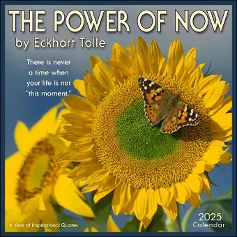 The Power of Now 2025 Wall Calendar cover