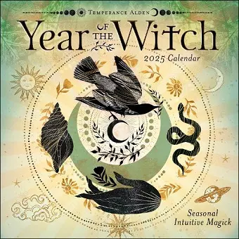 Year of the Witch 2025 Wall Calendar cover