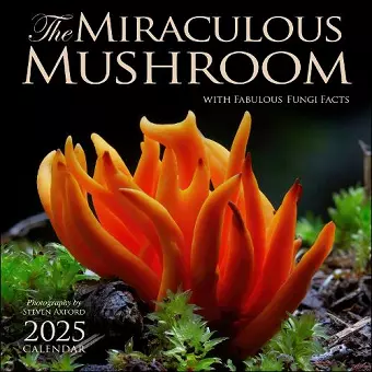 The Miraculous Mushroom 2025 Wall Calendar cover