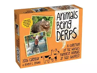 Animals Being Derps 2026 Day-to-Day Calendar cover