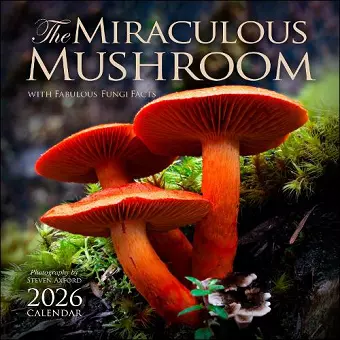 The Miraculous Mushroom 2026 Wall Calendar cover