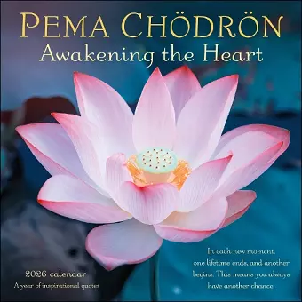 Pema Chödrön 2026 Wall Calendar cover