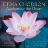 Pema Chödrön 2026 Wall Calendar cover