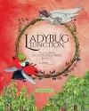 Ladybug Junction cover