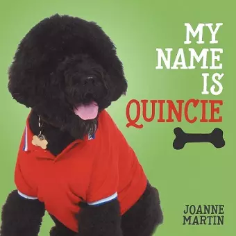 My Name is Quincie cover