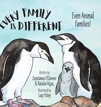 Every Family Is Different cover