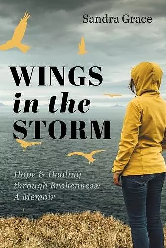 Wings in the Storm cover