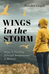 Wings in the Storm cover